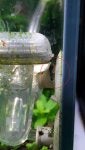 20160307_145424.jpg