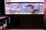 Water Television set Flat panel display Wall Art